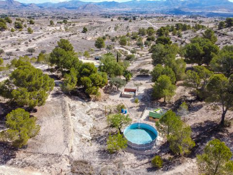 Country House | Finca For sale in Monovar