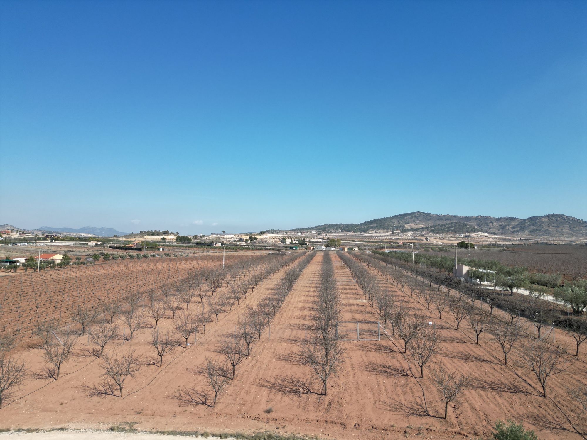 Grond for sale in Pinoso - Alicante - Ref: IZ-360-EXIZ - Image 1